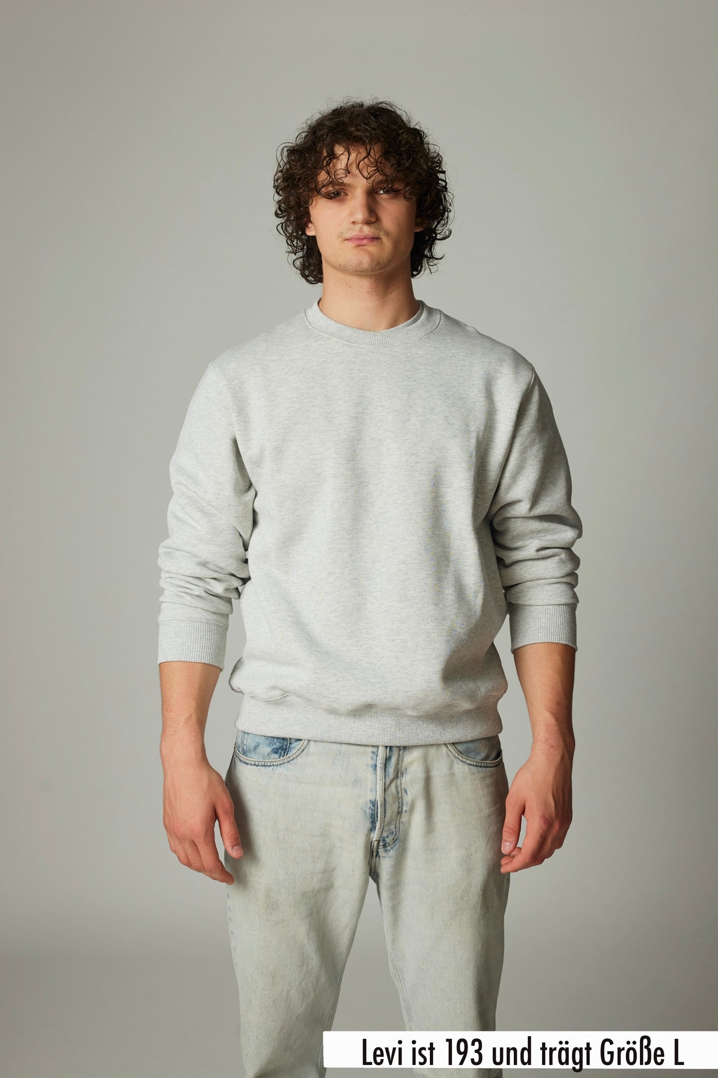 PROPCORNER PREMIUM SWEATER grau basic plain