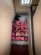 ultra huggy ANGRRRY Merino Schal