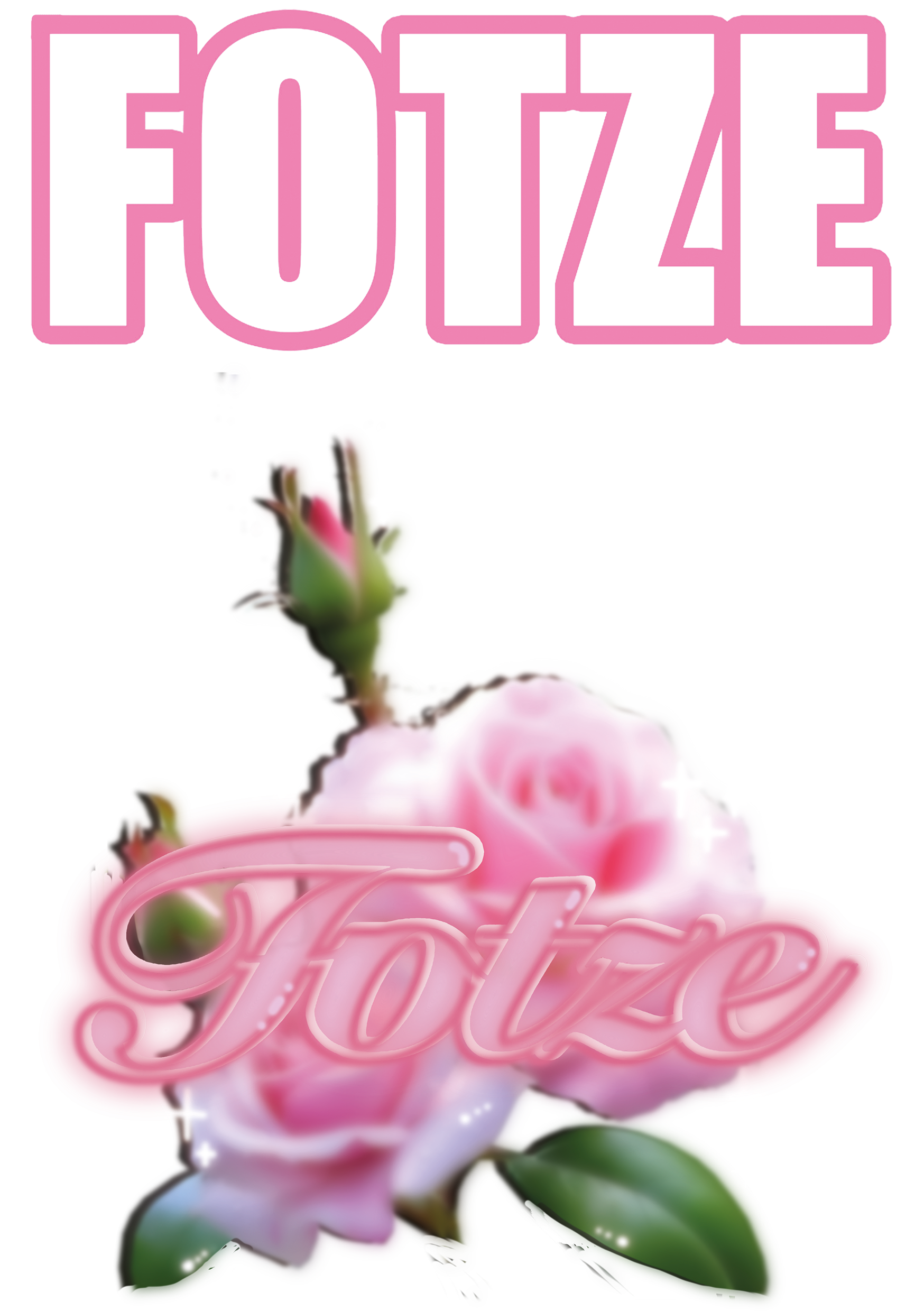 Bügelbild - hot fix for you at home!