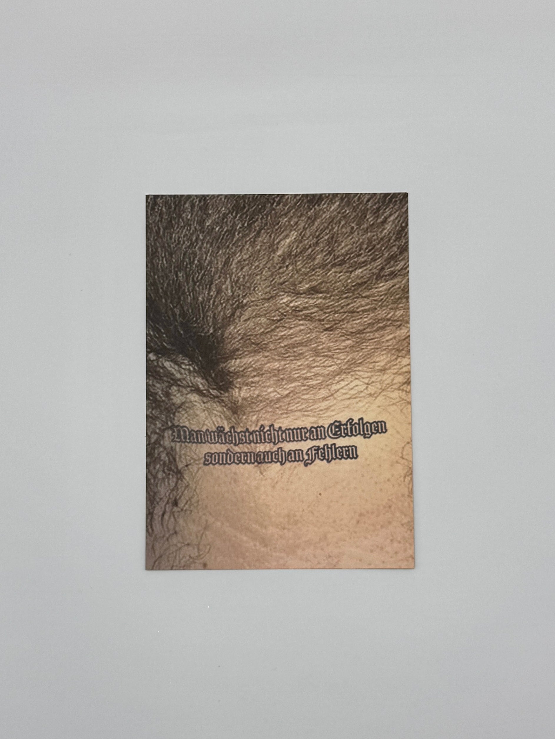 MAN WÄCHST NICHT NUR AN ERFOLGEN Tattoo Postcard