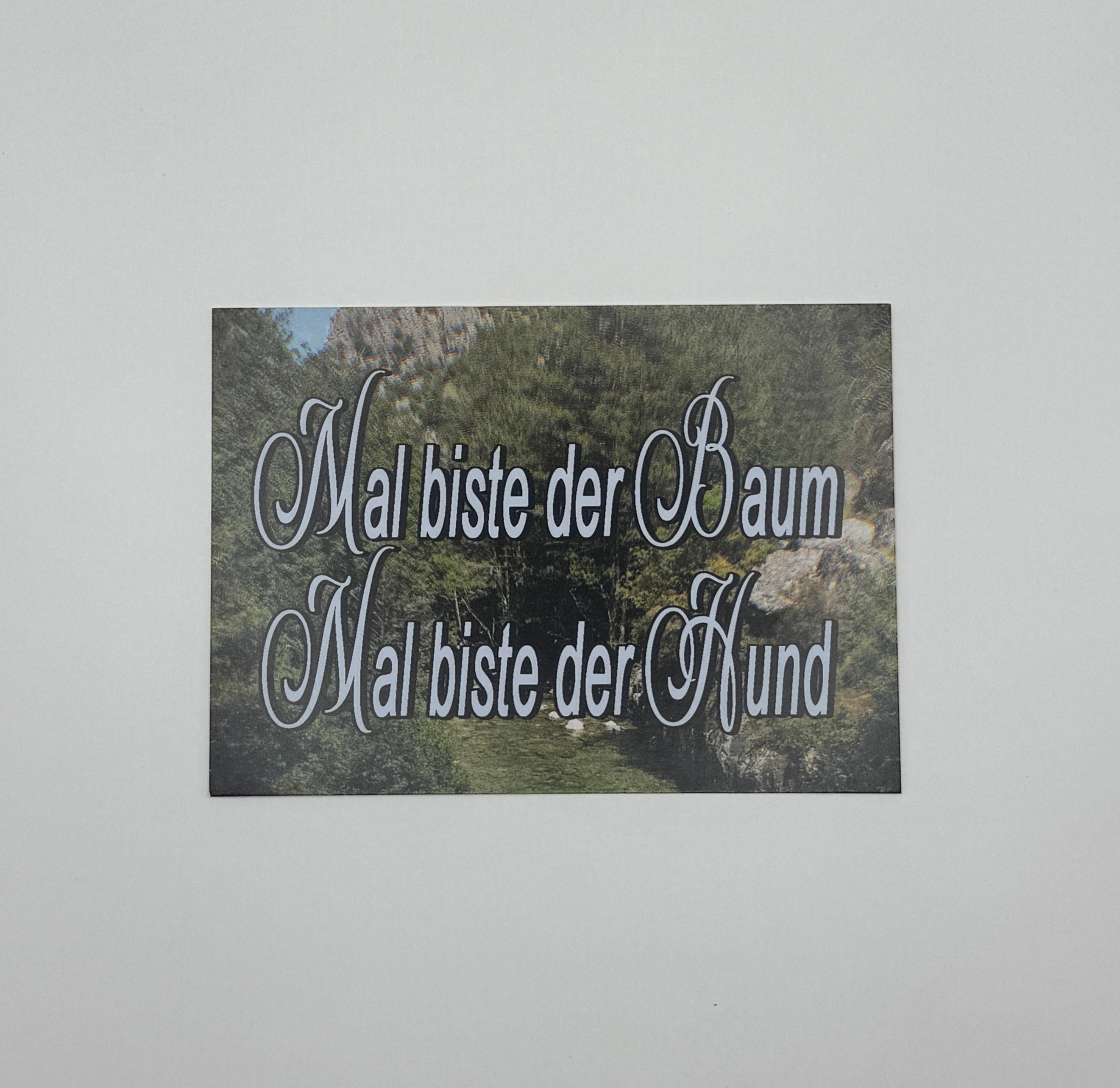 MAL BISTE DER BAUM, MAL BISTE DER HUND Postcard
