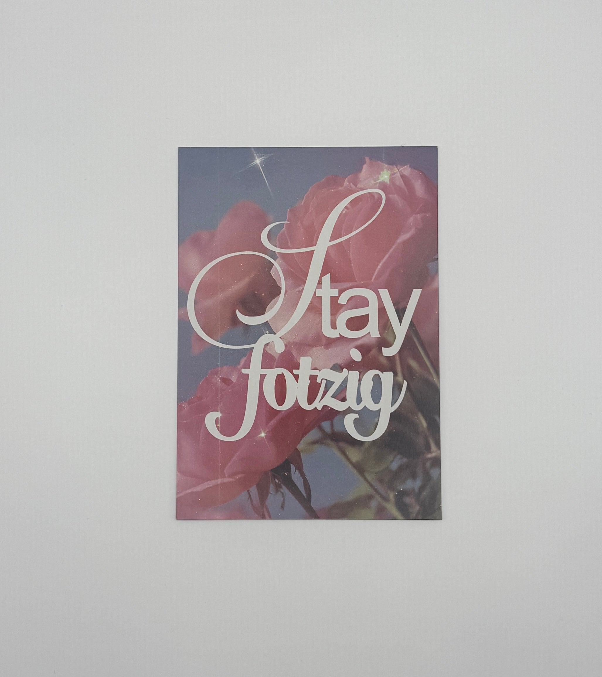 STAY F0TZIG Postcard