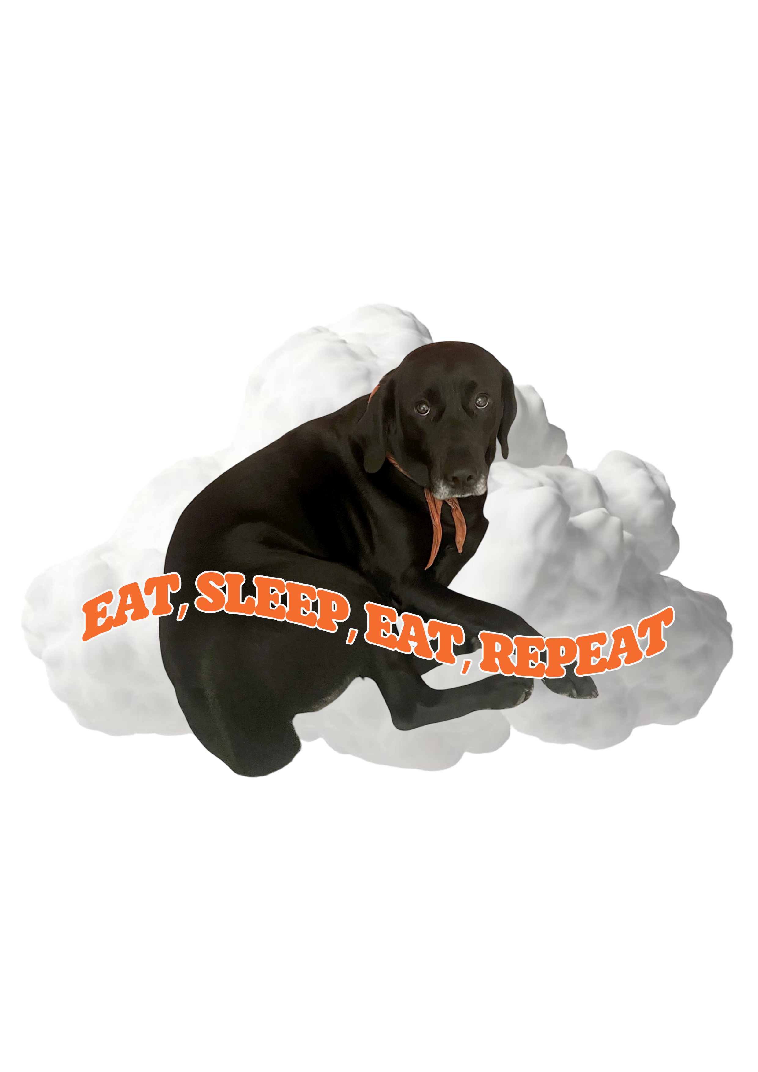 EAT SLEEP EAT
