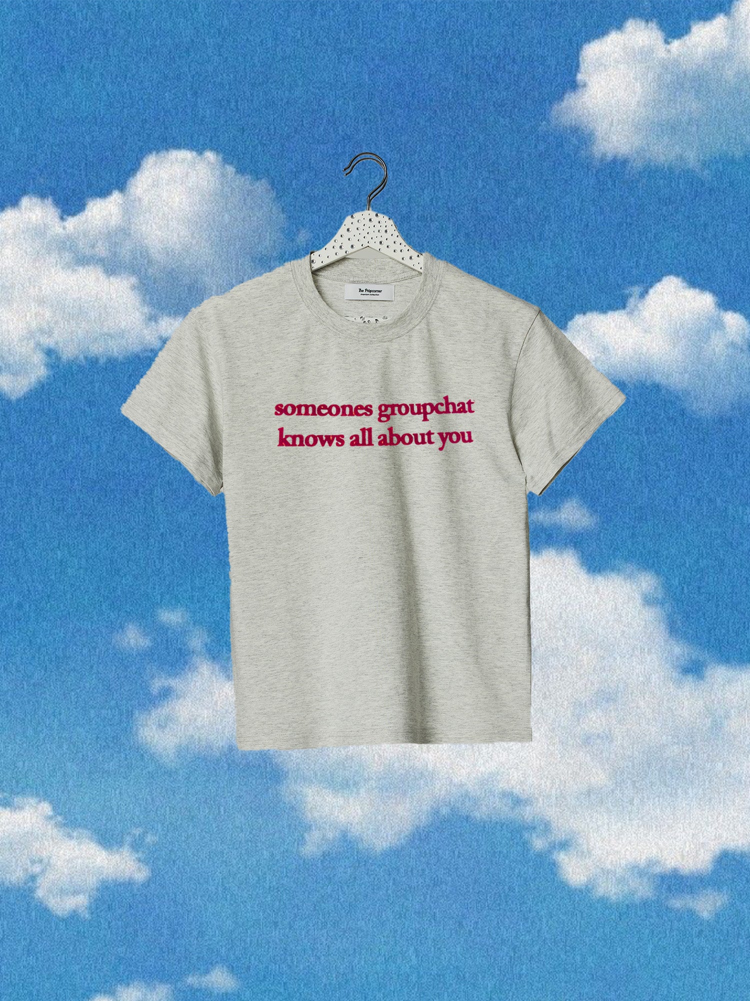 SOMEONES GROUPCHAT KNOWS ALL ABOUT YOU PERFECT PREMIUM BABY TEE