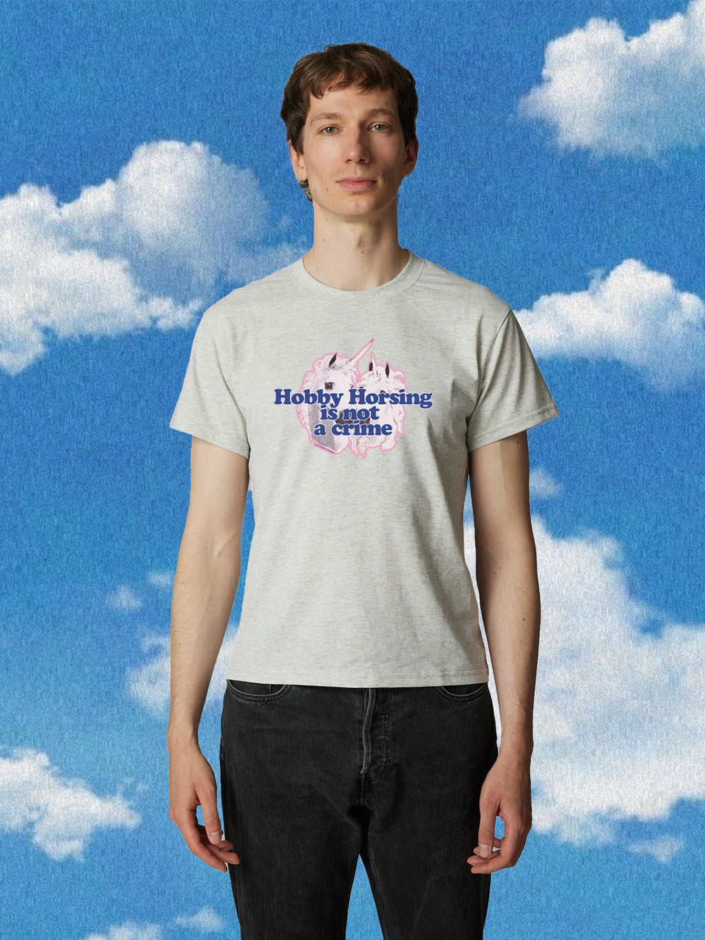 Hobby Horsing Perfect Fit grey Premium Shirt