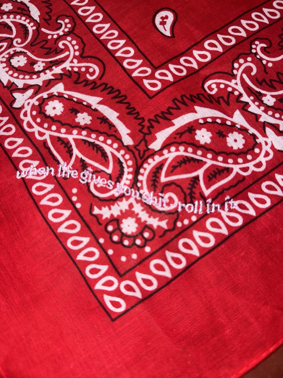 dog bandana red - when life gives you shit