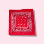 WHEN LIFE GIVES YOU SHIT HUNDE-HALS-BANDANA DIFFERENT COLORS