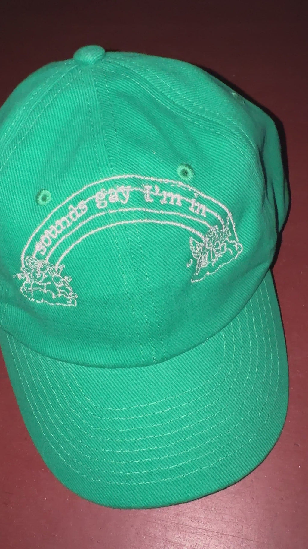 SOUNDS GAY I'M IN Green Cap