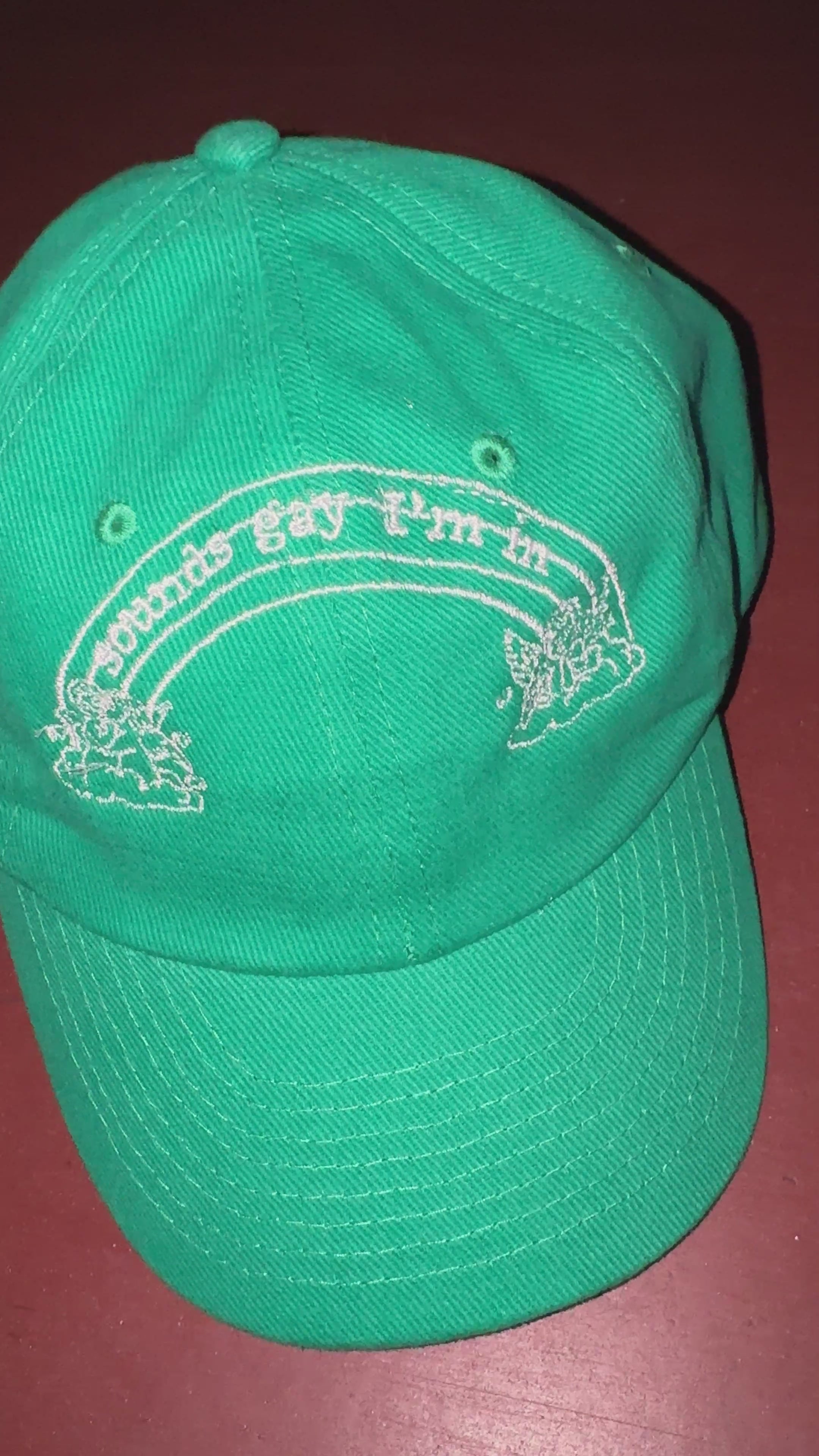 SOUNDS GAY I'M IN Green Cap