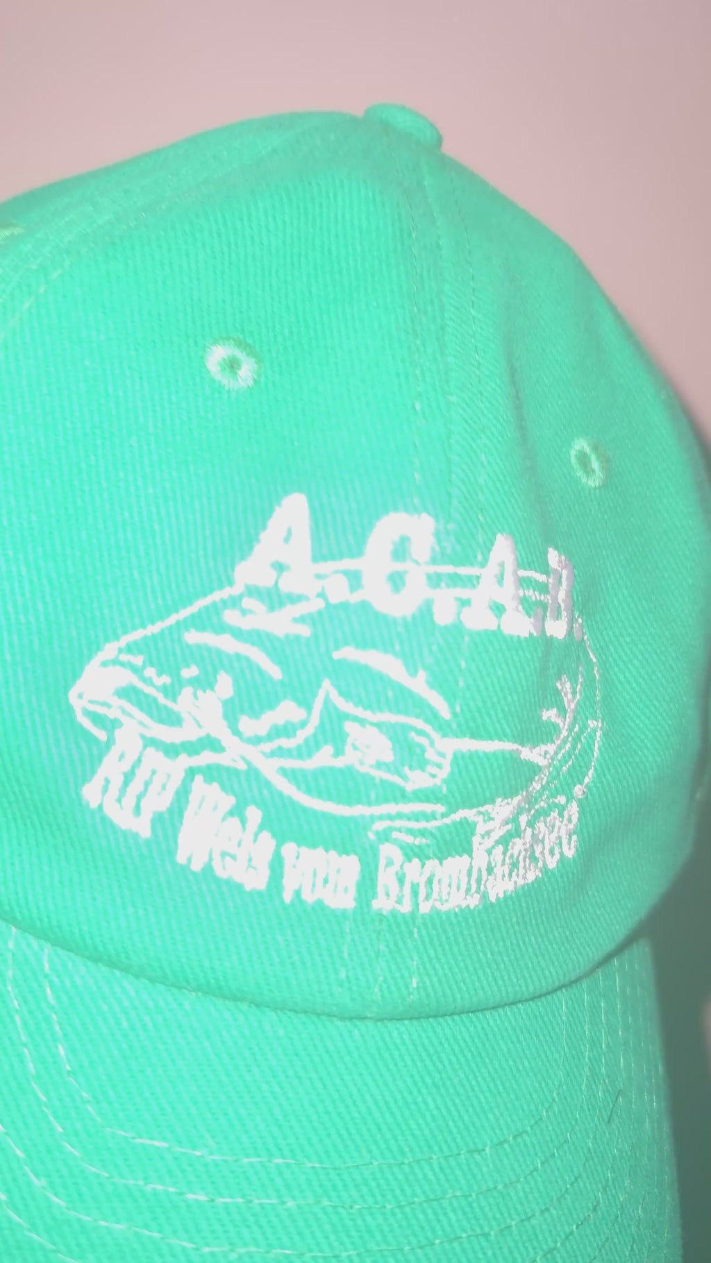 RIP WELS Cap gras-grün