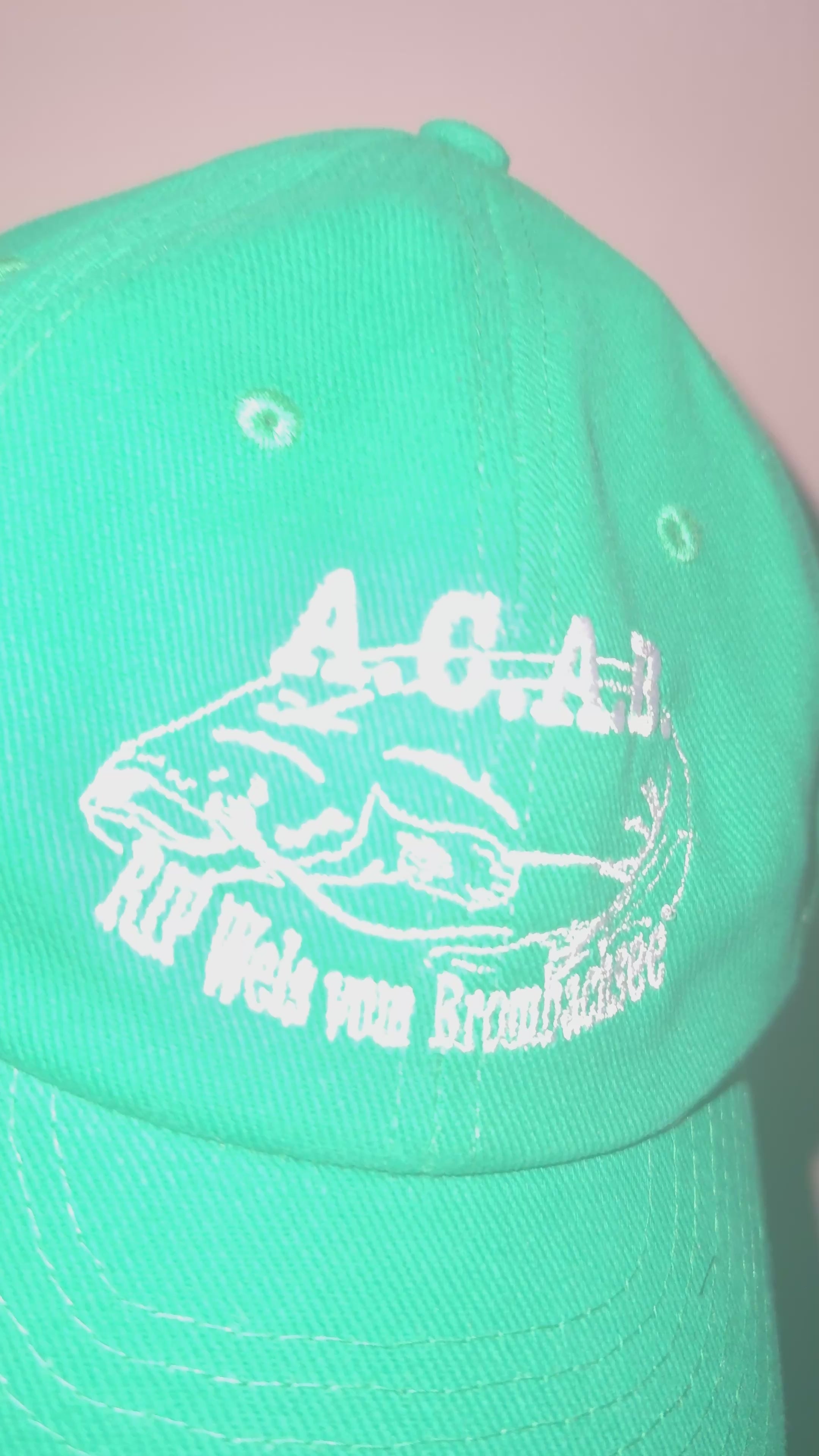 RIP WELS Cap gras-grün